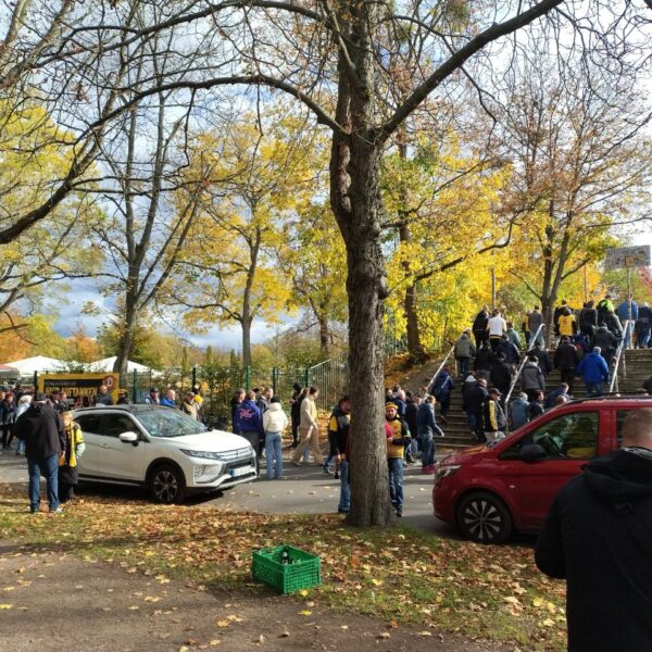 Das dynamische Jahr 2025